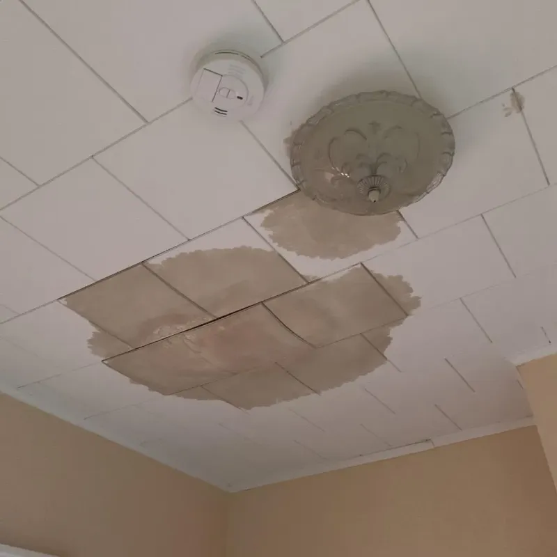 Ceiling Water Damage Repair in Farmland, IN