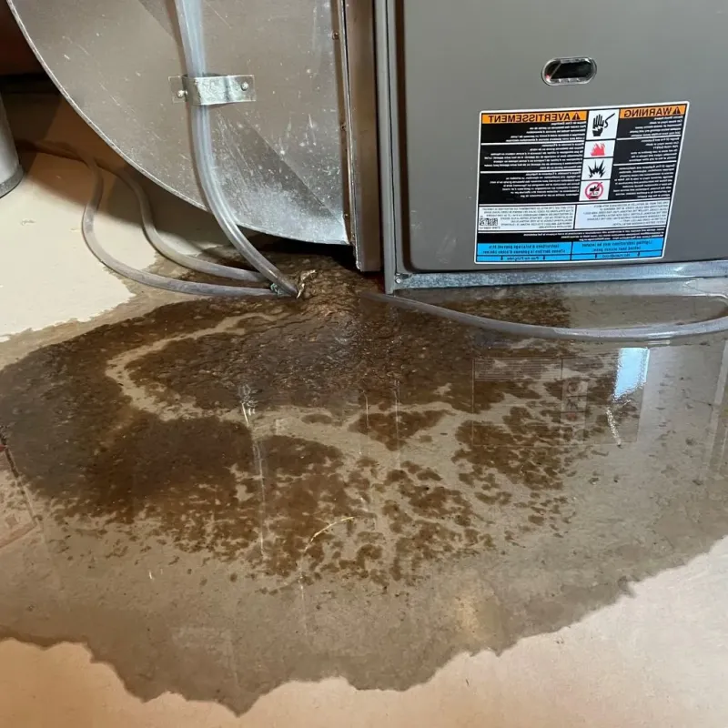 Pipe Burst and Leak Restoration in Farmland, IN