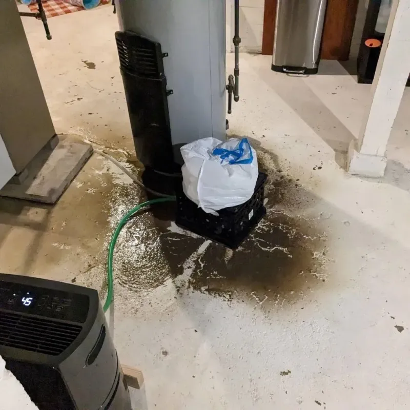 Sewage Backup Cleanup Service in Farmland, IN